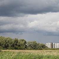 Синоптики предупредили новгородцев о приближении сильных дождей и ветра