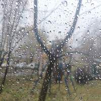 Синоптики рассказали, какая погода ждёт новгородцев в День народного единства