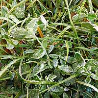 Названо время, когда тепло покинет Новгородскую область