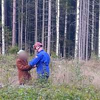 Спасатели прошли 16 километров в поисках заблудившейся в лесу пенсионерки