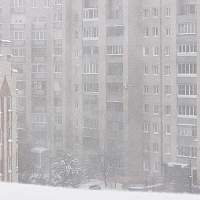 Стало известно, когда в Новгородскую область придёт снег