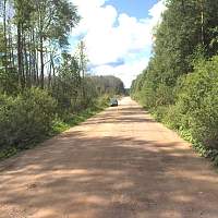 Участок дороги из Чудово в Ленобласть переведут в асфальтобетон