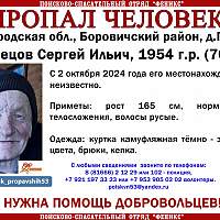 В Боровичском районе идут поиски 70-летнего мужчины