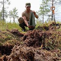 В Чудовском районе поисковики обследовали место вынужденной посадки Пе-2