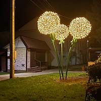 В центре Демянска засияли «одуванчики» В центре Демянска засияли «одуванчики»