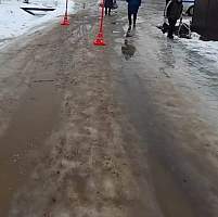 В городе Чудово неизвестный водитель сбил идущую по обочине женщину