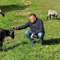 В Любытинском районе туристам предлагают попробовать себя в роли фермеров