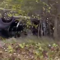 В Мошенском округе погиб водитель съехавшего в кювет автомобиля В Мошенском округе погиб водитель съехавшего в кювет автомобиля