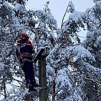 В Новгородской области без электроснабжения остаются 18 населённых пунктов