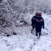 В Новгородской области энергетики ликвидируют последствия аномального снегопада