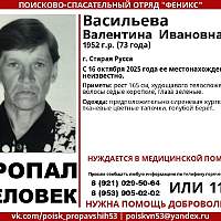 В Новгородской области идут поиски 73-летней жительницы Старой Руссы