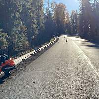 В Новгородской области на 24 участках автодорог установили барьерное ограждение