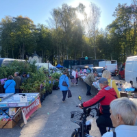 В Новгородской области на первых осенних ярмарках представили овощи, рыбу и мёд