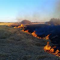В Новгородской области начался пожароопасный сезон