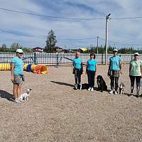 В Новгородской области начнётся активное развитие кинологического спорта