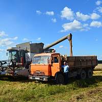 В Новгородской области подвели промежуточные итоги уборочной кампании В Новгородской области подвели промежуточные итоги уборочной кампании