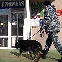 В Новгородской области полицейские готовы обеспечить безопасность на выборах президента РФ