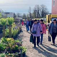 В Новгородской области продолжается марафон весенних сельскохозяйственных ярмарок