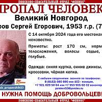 В Новгородской области продолжаются поиски 71-летнего мужчины