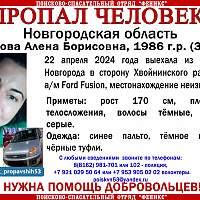 В Новгородской области пропала 38-летняя женщина