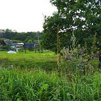 В Новгородской области решили возродить одну из деревень В Новгородской области решили возродить одну из деревень