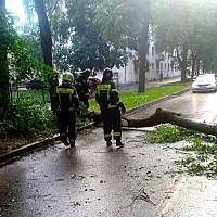 В Новгородской области спасатели и водители убирают сваленные бурей деревья