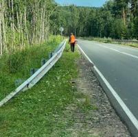 В Новгородской области специалисты косят сотни километров травы вдоль дорог