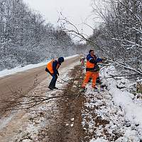 В Новгородской области улучшают обзор водителям и устраняют помехи на дорогах