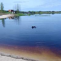 В Новгородской области водоёмы готовят к открытию купального сезона