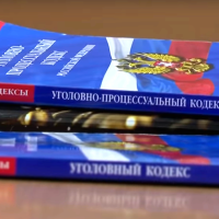 В Новгородской области возбудили уголовное дело по факту оскорбления судьи