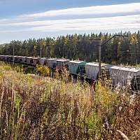 В Новгородской области выросла погрузка промышленного сырья