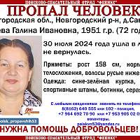 В Новгородском районе продолжаются поиски женщины, которая потерялась в лесу