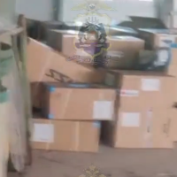 В Окуловском округе трое мужчин прибрали к рукам тонну замороженной форели