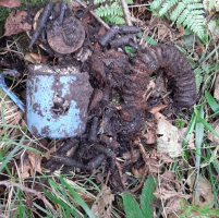 В Парфинском округе поисковики нашли останки 38 красноармейцев с их вещами В Парфинском округе поисковики нашли останки 38 красноармейцев с их вещами