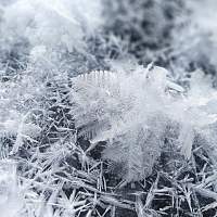 В первые дни нового года в Новгородской области ударят аномальные морозы