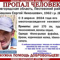 В Пестовском районе идут поиски 61-летнего мужчины