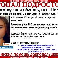 В Шимске идут поиски 17-летней девушки