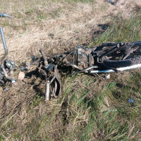 В Шимском округе в ДТП погиб 15-летний водитель мопеда
