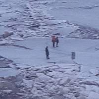 В Сольцах спасли детей и собаку на льдине