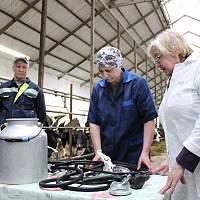 В Солецком округе обсудили перспективы развития молочного и мясного скотоводства