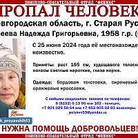 В Старой Руссе идут поиски 66-летней женщины