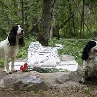 В Старорусском районе почтили память собак, погибших во время Великой Отечественной войны