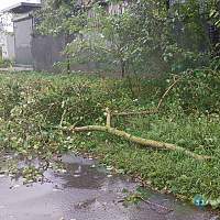 В Великом Новгороде устраняют последствия ночной бури