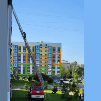 В Великом Новгороде спасали зажатого в окне на восьмом этаже кота
