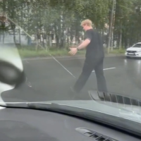 В Великом Новгороде добрые люди помогли переходящим дорогу утятам