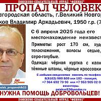 В Великом Новгороде идут поиски 74-летнего мужчины