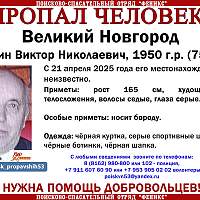 В Великом Новгороде идут поиски 75-летнего мужчины