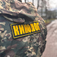 В Великом Новгороде кинологи обошли места сборищ безнадзорных собак