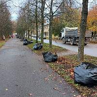 В Великом Новгороде пройдёт осенний общегородской субботник
