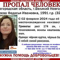 В Великом Новгороде пропала молодая женщина